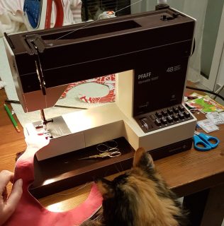Chat installé devant une machine à coudre des années 1980.