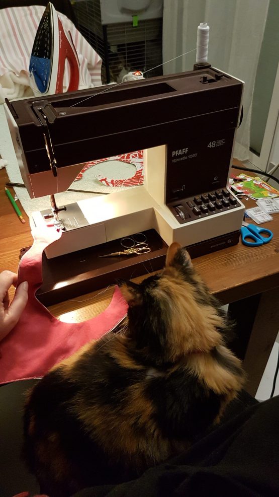 Chat installé devant une machine à coudre des années 1980.