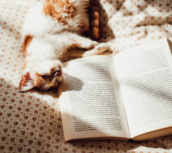 livre.
